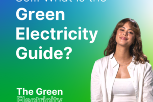 Guide to electricity retailers